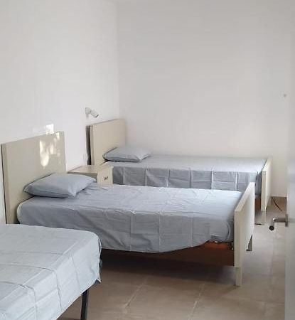 Apartament Pis Carretera Santa Pau Olot Zewnętrze zdjęcie